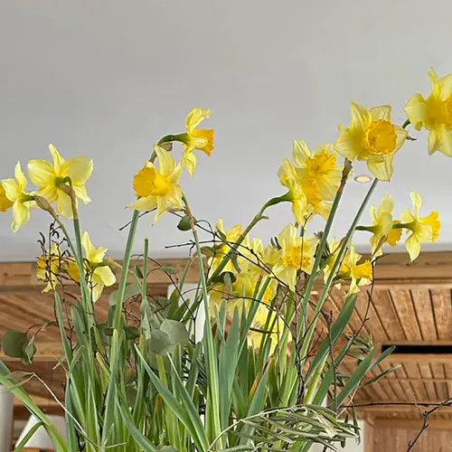 osterprogramm-alpenhotel-montafon-2 Osterprogramm - Alpenhotel Montafon