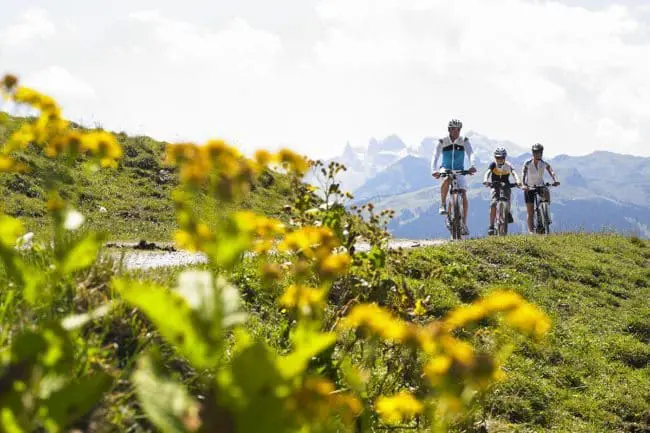 Sommerurlaub im Montafon, Vorarlberg Drei Radfahrer genießen ein Sommerurlaubsabenteuer auf einem mit gelben Wildblumen gesäumten Grasweg, umgeben von grünen Hügeln und fernen Bergen unter einem hellen, teilweise bewölkten Himmel.