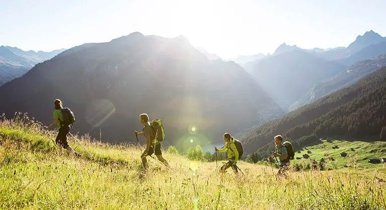 Vier Wanderer mit Rucksäcken und Trekkingstöcken gehen im hellen Sonnenlicht einen grasbewachsenen Berghang hinauf, mit baumbewachsenen Tälern und fernen Gipfeln im Hintergrund.