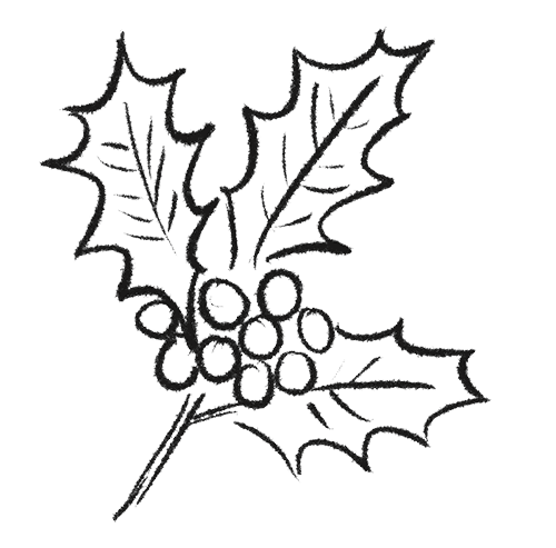 icon-weihnachtsbeere-1