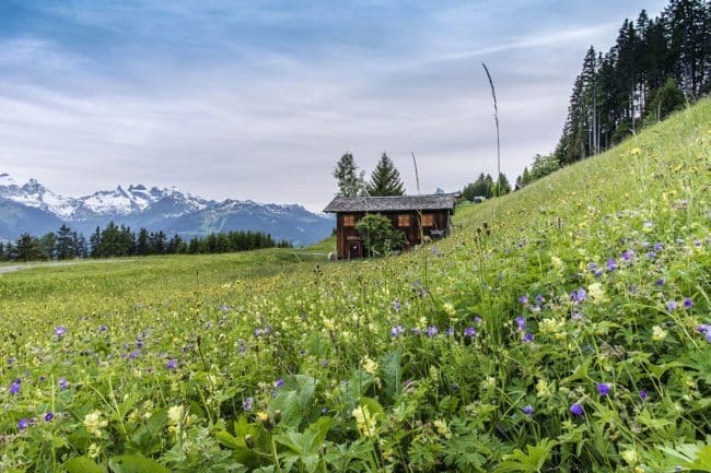 Montafon, Vorarlberg - Fotografie Manfred Schlatter